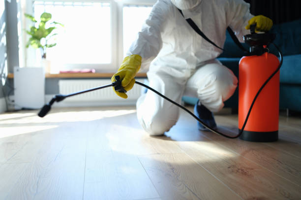Reliable Odor Removal contractor in Anderson, MO by Trauma Clean Pros